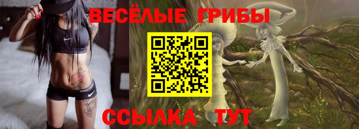Псилоцибиновые грибы прущие грибы Лиски